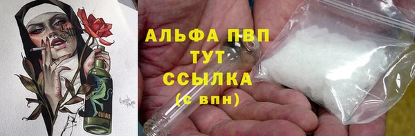 прущий лед Богданович