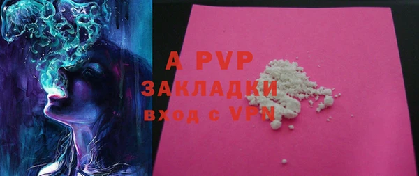 прущий лед Богданович