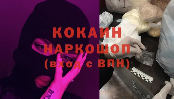 прущий лед Богданович