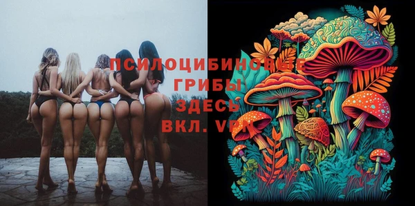 прущий лед Богданович