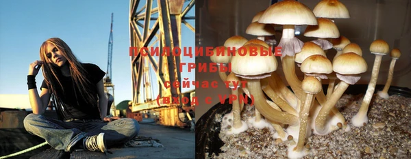 прущий лед Богданович