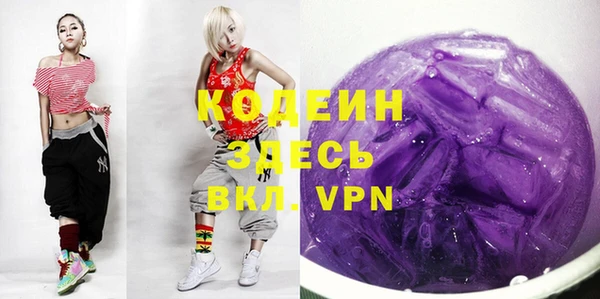 прущий лед Богданович